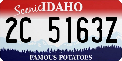 ID license plate 2C5163Z