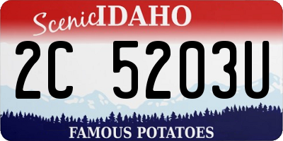 ID license plate 2C5203U