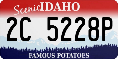 ID license plate 2C5228P