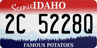 ID license plate 2C5228Q