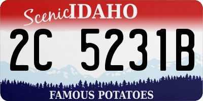 ID license plate 2C5231B