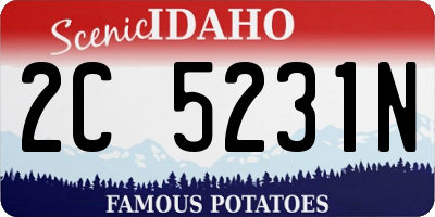 ID license plate 2C5231N