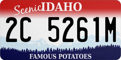 ID license plate 2C5261M