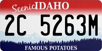 ID license plate 2C5263M