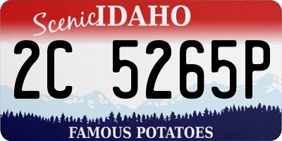 ID license plate 2C5265P