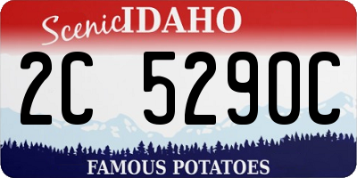 ID license plate 2C5290C