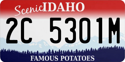 ID license plate 2C5301M