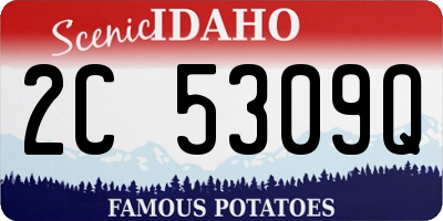 ID license plate 2C5309Q