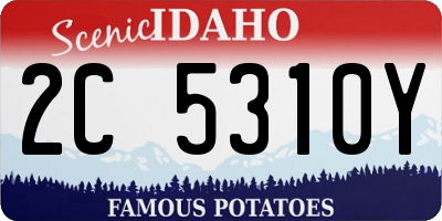 ID license plate 2C5310Y