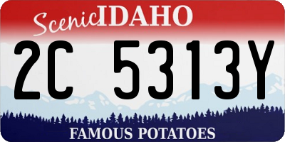 ID license plate 2C5313Y