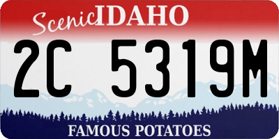 ID license plate 2C5319M
