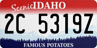 ID license plate 2C5319Z