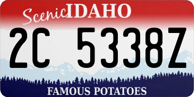 ID license plate 2C5338Z