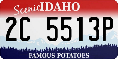 ID license plate 2C5513P