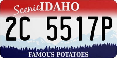 ID license plate 2C5517P