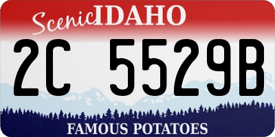 ID license plate 2C5529B