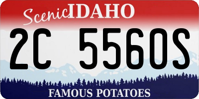 ID license plate 2C5560S