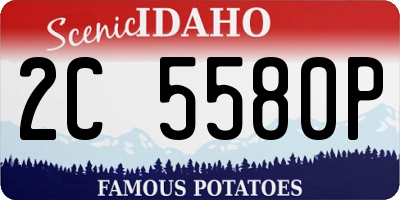 ID license plate 2C5580P