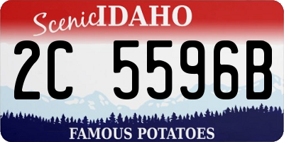 ID license plate 2C5596B