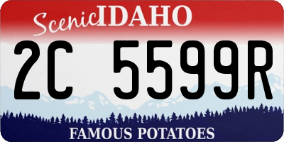 ID license plate 2C5599R