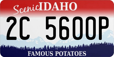 ID license plate 2C5600P