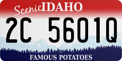ID license plate 2C5601Q
