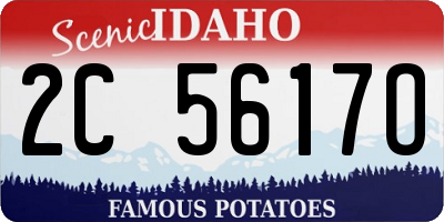 ID license plate 2C5617O