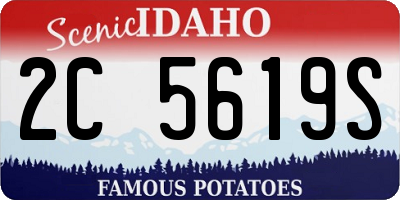 ID license plate 2C5619S