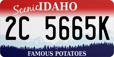 ID license plate 2C5665K