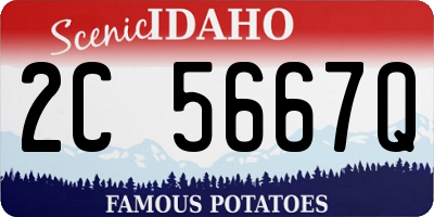 ID license plate 2C5667Q