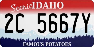 ID license plate 2C5667Y