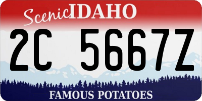 ID license plate 2C5667Z