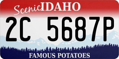 ID license plate 2C5687P