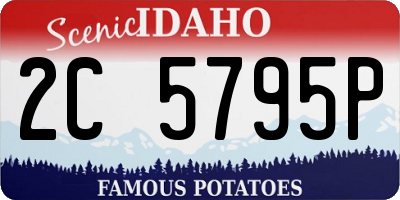 ID license plate 2C5795P