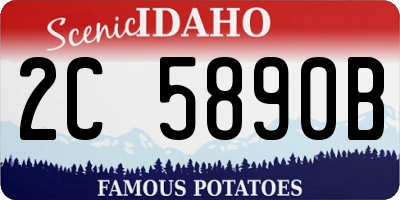ID license plate 2C5890B