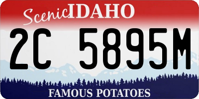 ID license plate 2C5895M