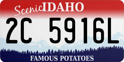 ID license plate 2C5916L