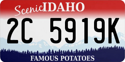 ID license plate 2C5919K