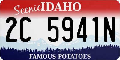 ID license plate 2C5941N