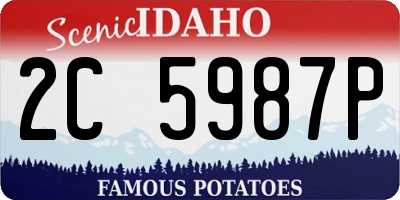 ID license plate 2C5987P