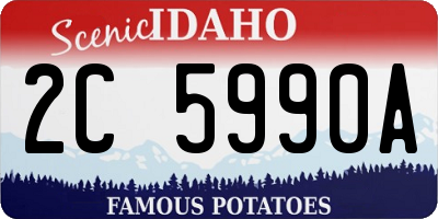 ID license plate 2C5990A