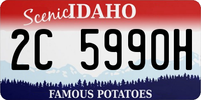 ID license plate 2C5990H