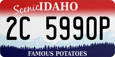 ID license plate 2C5990P