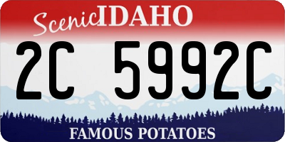ID license plate 2C5992C