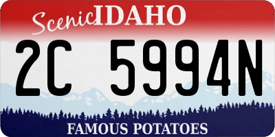 ID license plate 2C5994N