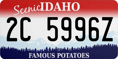 ID license plate 2C5996Z