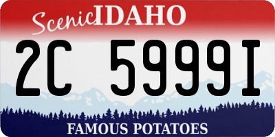 ID license plate 2C5999I