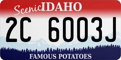 ID license plate 2C6003J