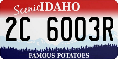ID license plate 2C6003R