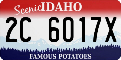 ID license plate 2C6017X